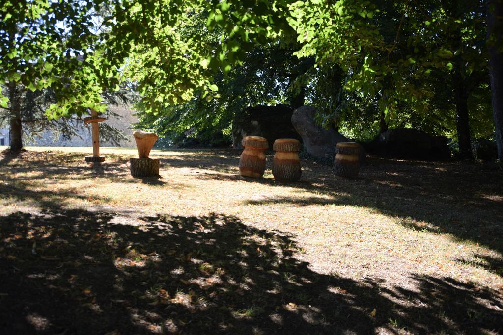 Domaine De La Rocque Bed and Breakfast Liorac-sur-Louyre Esterno foto